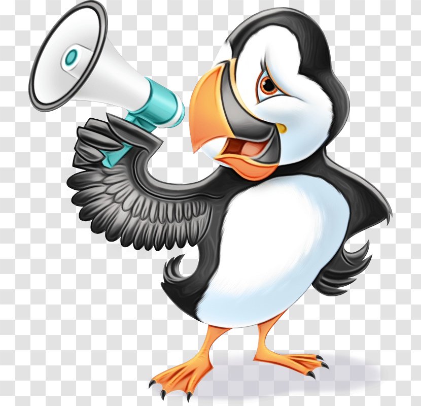 Dodo Bird - Seabird - Atlantic Puffin Transparent PNG
