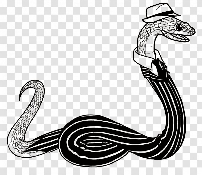Snake Cartoon Illustration - Vertebrate - Vector Transparent PNG