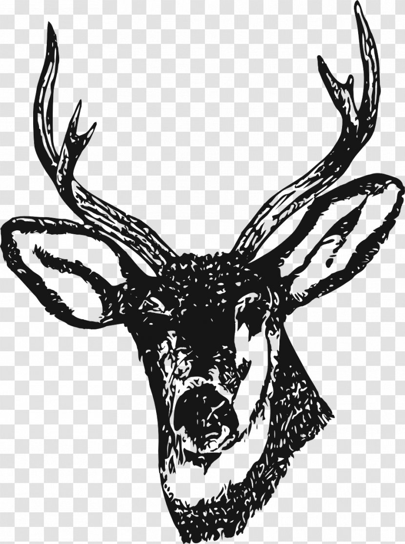 White-tailed Deer Clip Art Moose Red - Monochrome Photography Transparent PNG