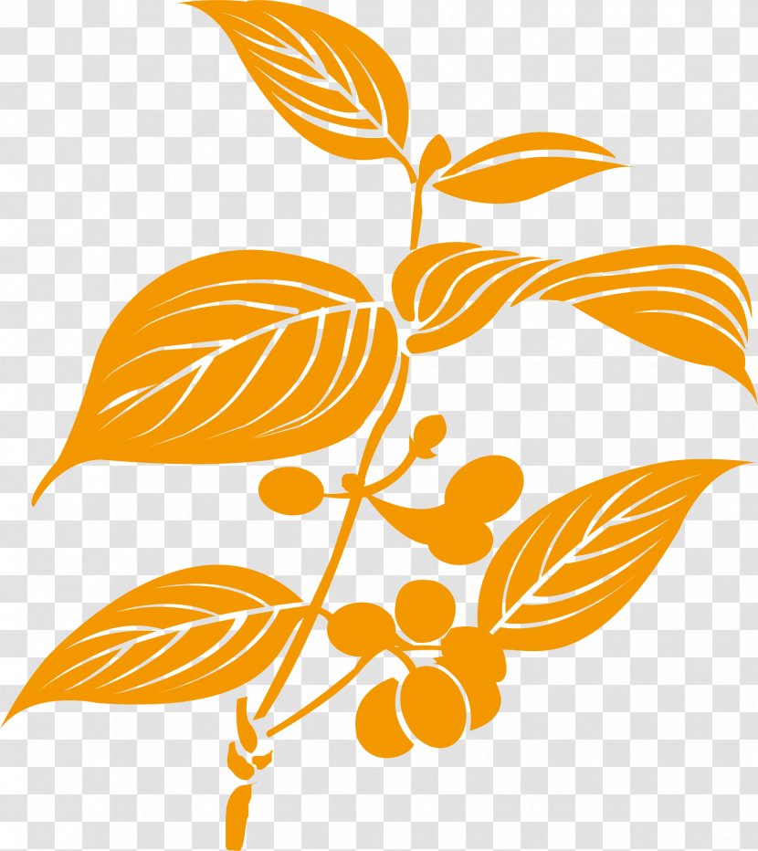 Medicinal Plants Traditional Chinese Medicine Herbology - Orange - Yellow Plant Transparent PNG