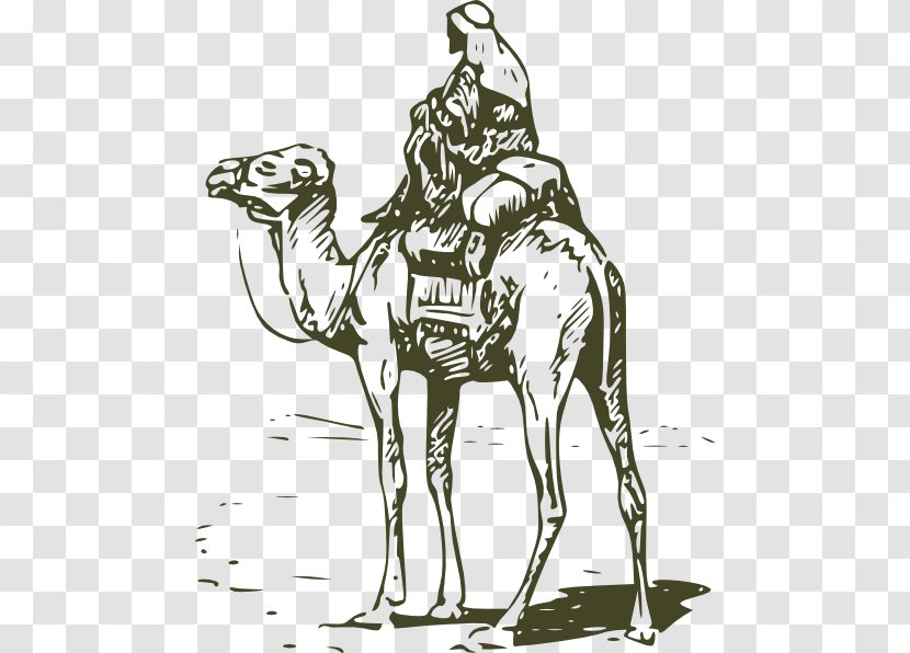 Bactrian Camel Dromedary Horse Clip Art - Black And White - Couple Driver Car Lovely Transparent PNG