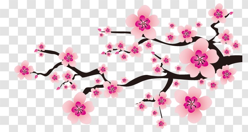 Flower Plum Blossom - Pink - Cherry Blossoms Transparent PNG