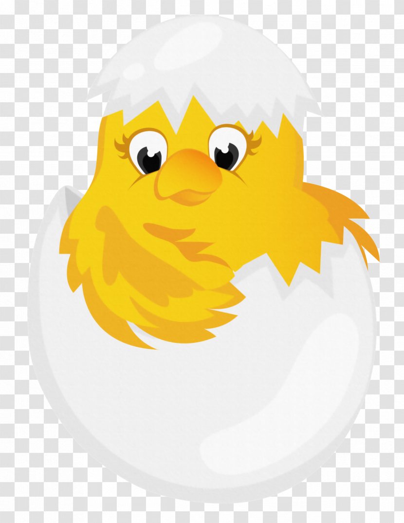 Chicken Cartoon Clip Art - Material - Easter In Egg Transparent Clipart Transparent PNG