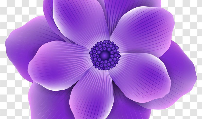 Flower Purple Lavender Clip Art - Violet Transparent PNG