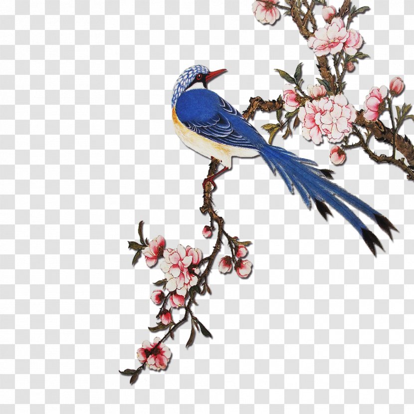 Flowering Peach Trees Bird Painting - Very Happy Transparent PNG