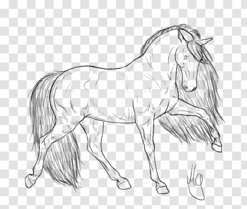 Friesian Horse Coloring Book Foal Standardbred Head Mask - Organism - Unicorn Transparent PNG