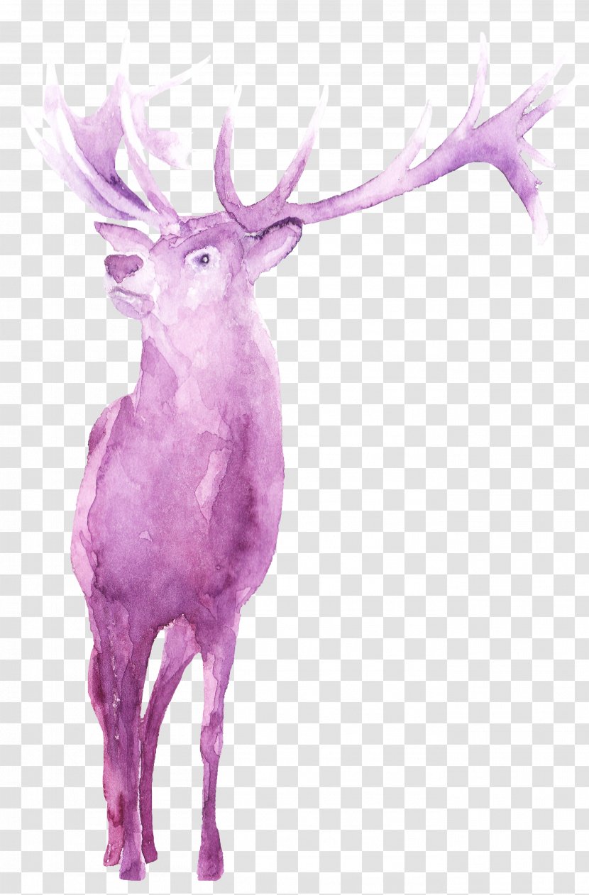 Reindeer Antler Character Fiction - Flower - White Deer Transparent PNG