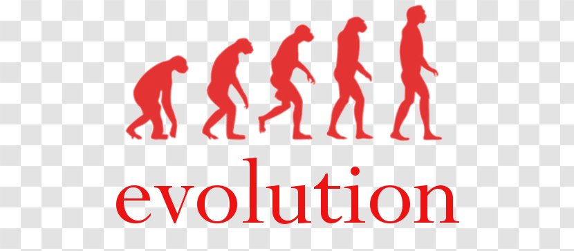 Human Evolution Homo Sapiens Peking Man Evolutionary Art - Brand - Charles Darwin Transparent PNG