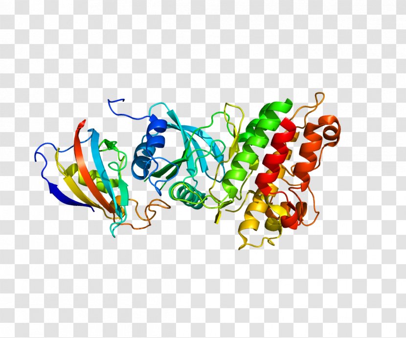 ACVR1 Bone Morphogenetic Protein Fibrodysplasia Ossificans Progressiva Activin Receptor - Frame - Plasma Transparent PNG
