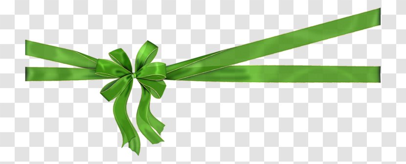 Ribbon Clip Art - Lofter - Green Edge Transparent PNG