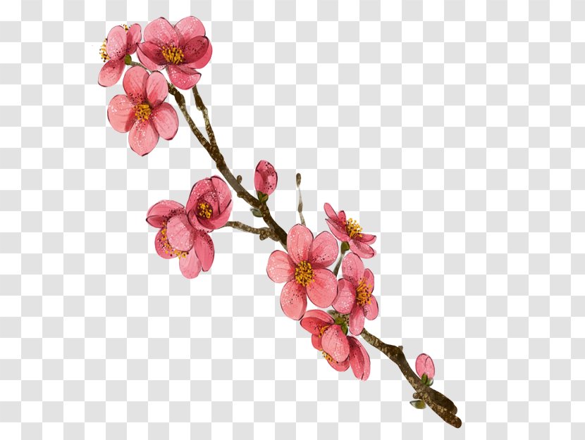 Watercolor Painting Plum Blossom - Pink Transparent PNG
