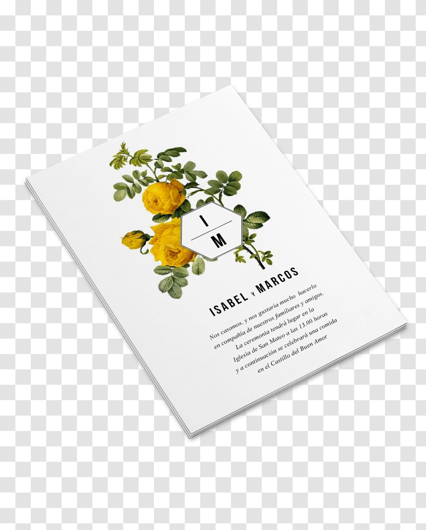 Rose Rosa Hemisphaerica Yellow Flower Cross-stitch - Graph Of A Function Transparent PNG