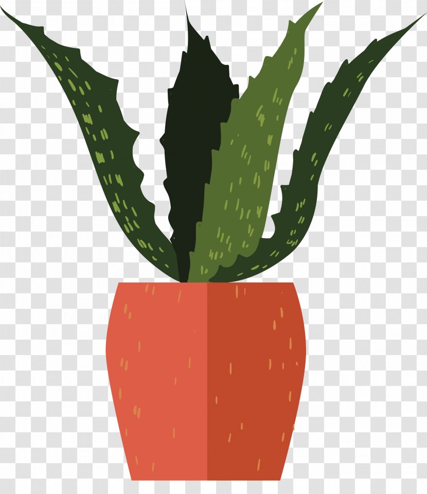 Aloe Vera Euclidean Vector Flowerpot Vecteur - Flowering Plant - Deep Green Bonsai Transparent PNG