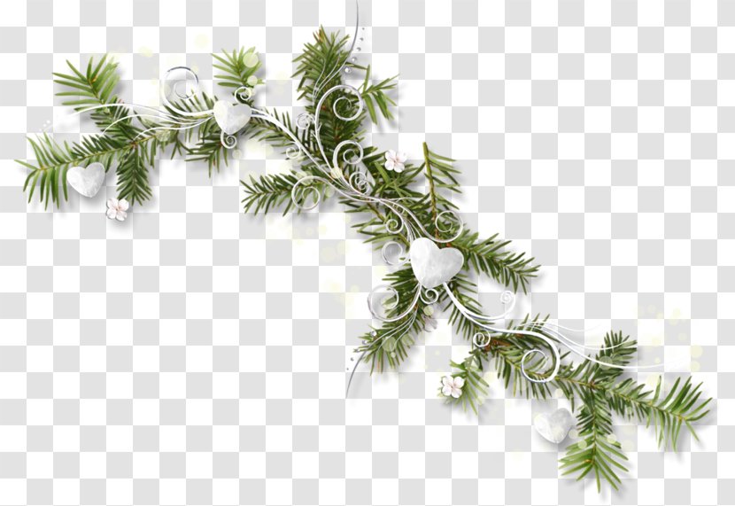 Christmas Tree Ornament Day New Year Spruce - Fir Transparent PNG