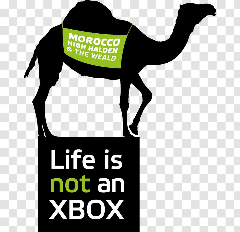 Roblox Dromedary Birthday Xbox One Party - Livestock Transparent PNG