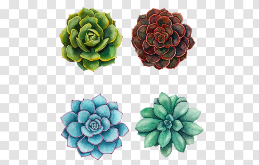 Watercolor Painting Succulent Plant Art Drawing - Idea Transparent PNG