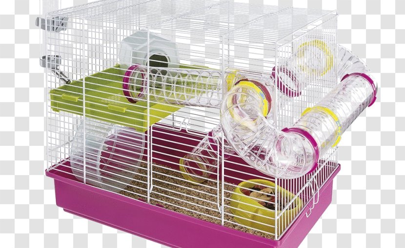 Golden Hamster Gerbil Cage - Murids Transparent PNG