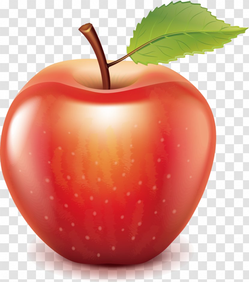 Apple Clip Art - Local Food Transparent PNG