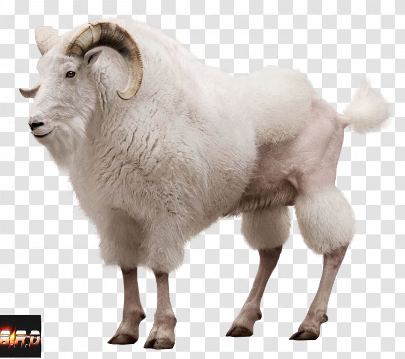 Mountain Goat Sheep Advertising Volkswagen Group - Cattle Like Mammal Transparent PNG