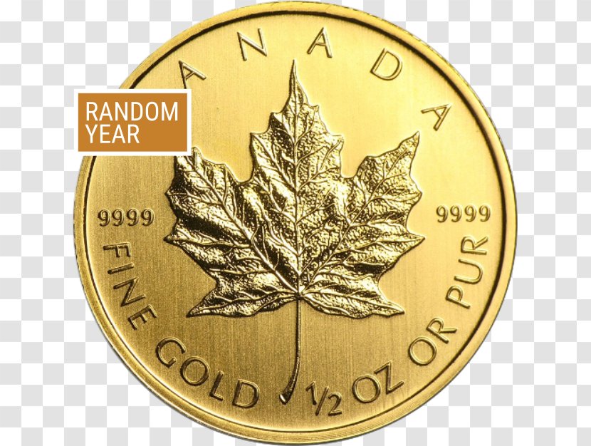Canada Canadian Gold Maple Leaf Bullion Coin - Cartoon Transparent PNG