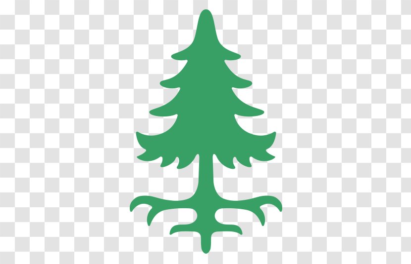 Spruce Western White Pine Eastern Fir Tree - Christmas Transparent PNG