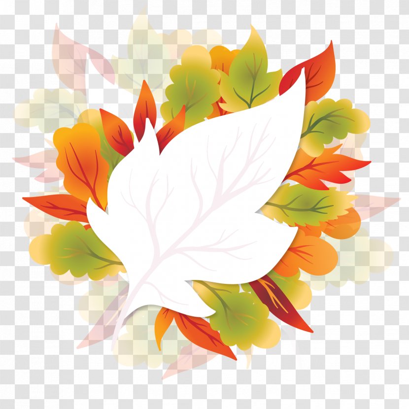 Floral Design Maple Leaf Autumn - Flower - Vector Leaves Transparent PNG
