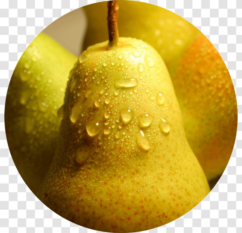 Pear Crisp Fruit Food Transparent PNG