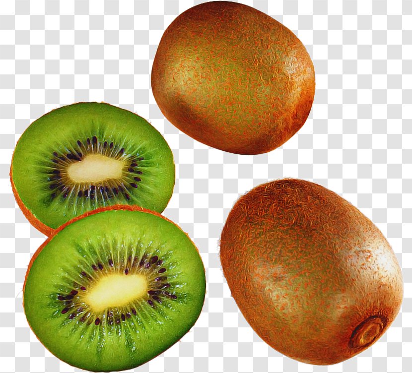 Kiwifruit Transparency Hardy Kiwi Berries - Actinidia Deliciosa - Plant Transparent PNG