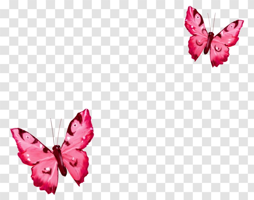 Butterfly Clip Art Image Borboleta - Magenta Transparent PNG