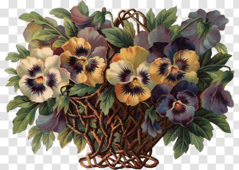 Pansy Bokmärke Flower Clip Art - Plant Transparent PNG