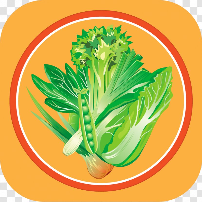 Spring Greens Vegetarian Cuisine Natural Foods Herb - Plant Stem - Vegan Transparent PNG