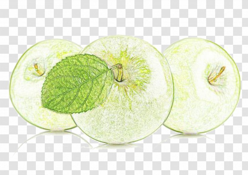 Apple Drawing Colored Pencil Painting - Plant - Hand-painted Apples Transparent PNG