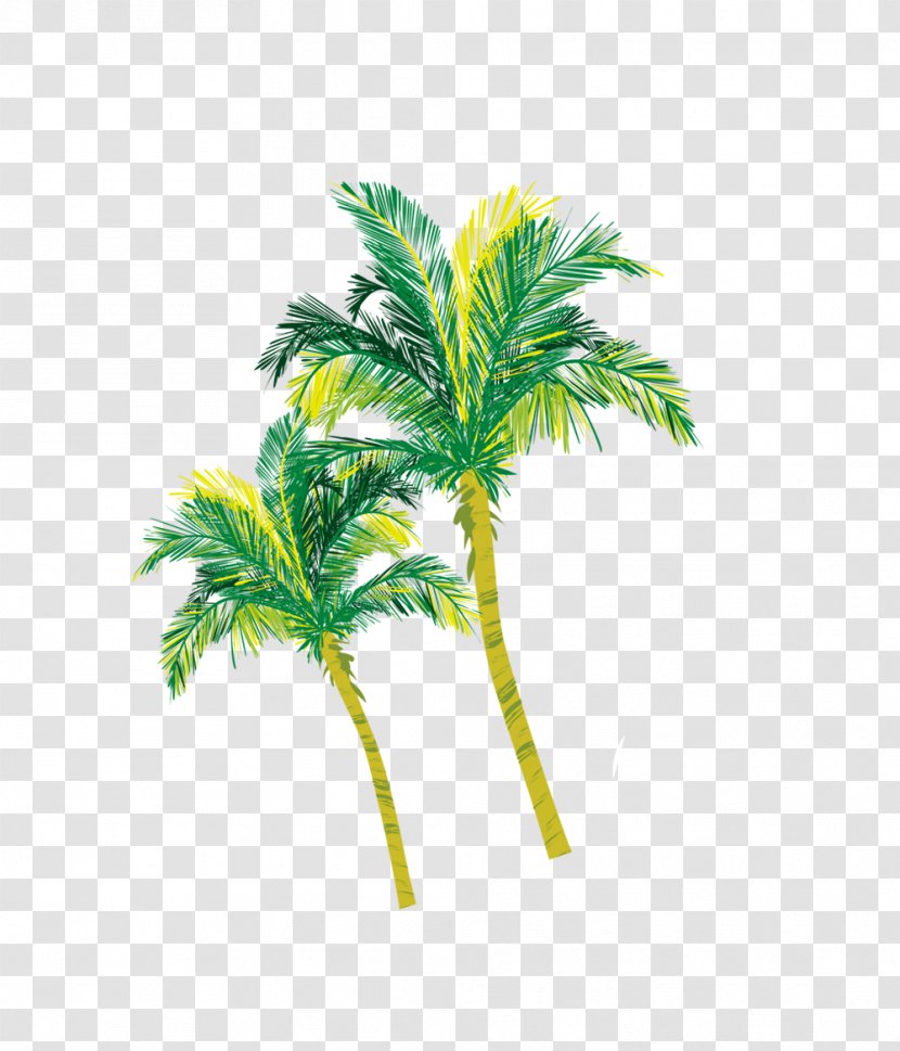 Arecaceae Coconut Tree - Yellow-green Material Transparent PNG