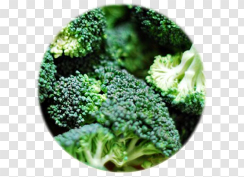 Broccoli Cabbage Cauliflower Kohlrabi Brussels Sprout - Grass Transparent PNG