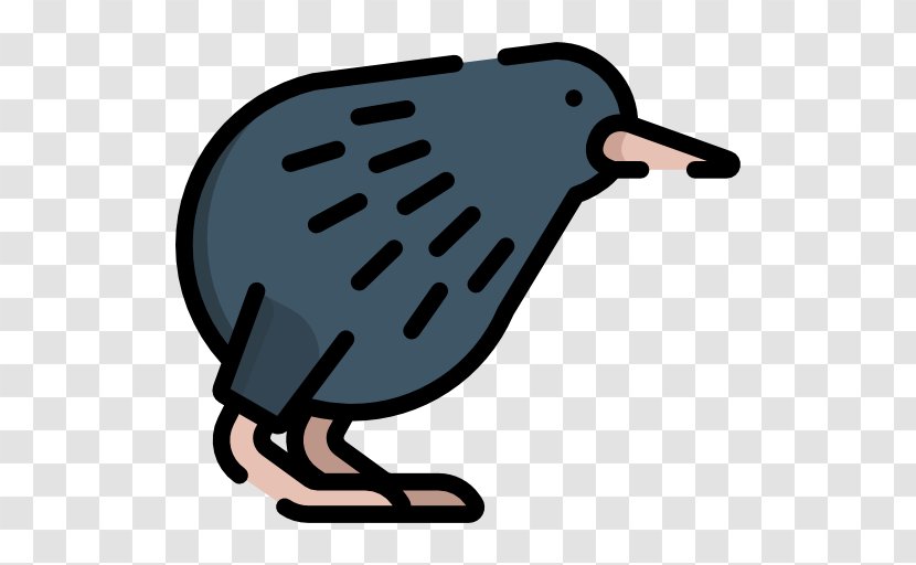 Bird Beak - Kiwi Transparent PNG