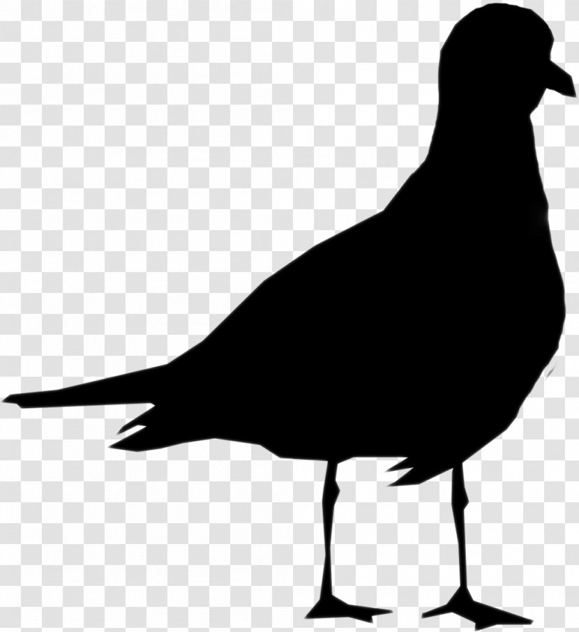 Silhouette Beak Person Clip Art Black - Charadriiformes Transparent PNG