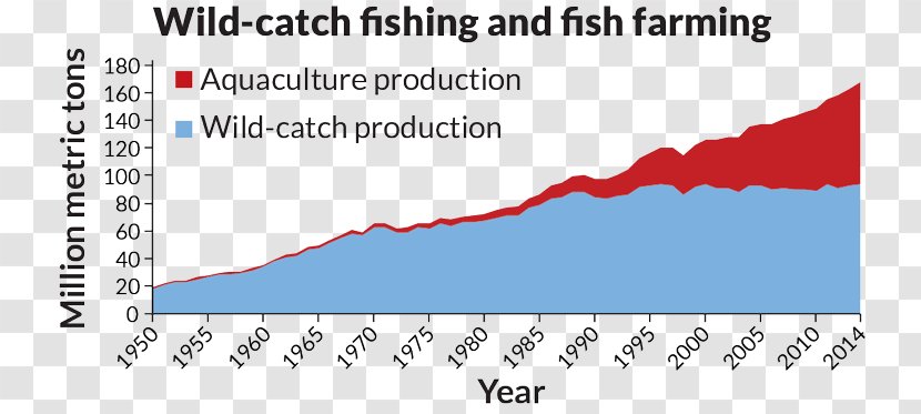 Fish Farming Chart Aquaculture Fishing Agriculture - Graph Of A Function - Farm Transparent PNG