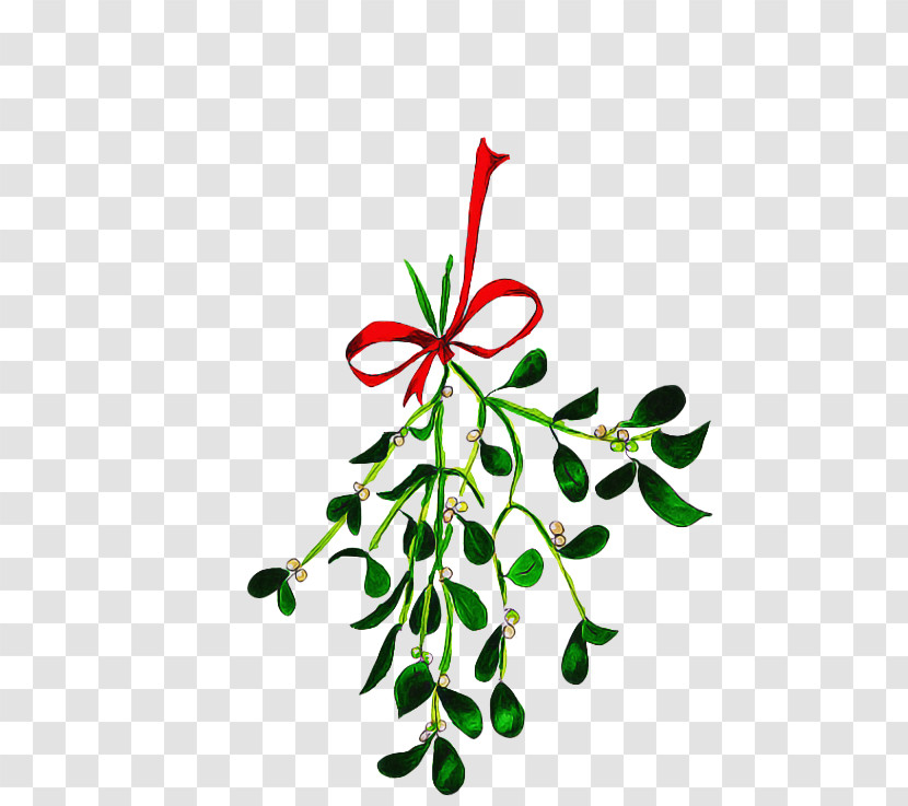 Leaf Plant Flower Branch Plant Stem Transparent PNG