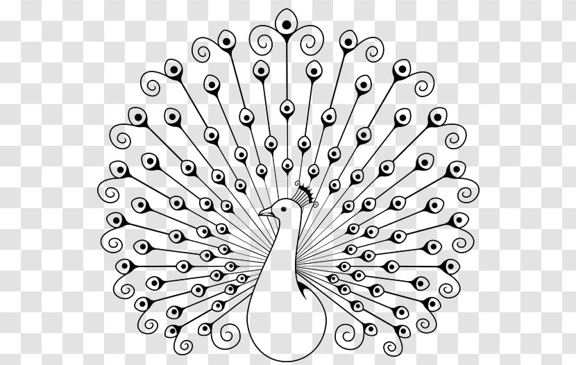 Peafowl Drawing Coloring Book Clip Art - Feather - Stick Figure Peacock Transparent PNG