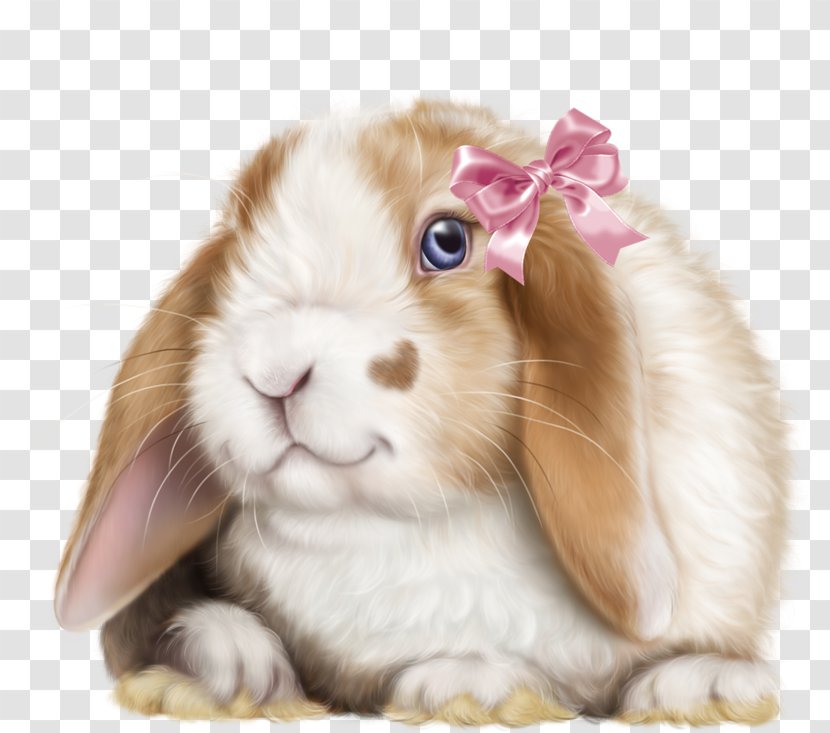 Domestic Rabbit Leporids - Stuffed Toy Transparent PNG