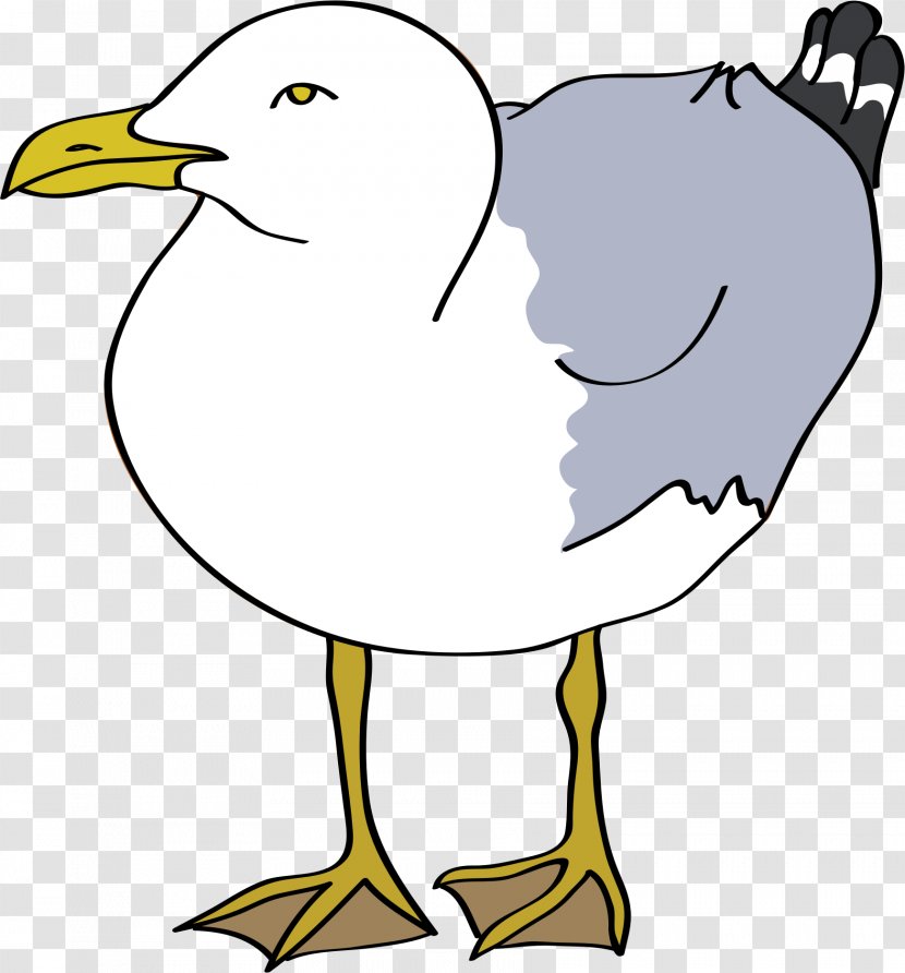 Gulls Bird European Herring Gull Clip Art - Black And White - Cartoon Seagull Transparent PNG