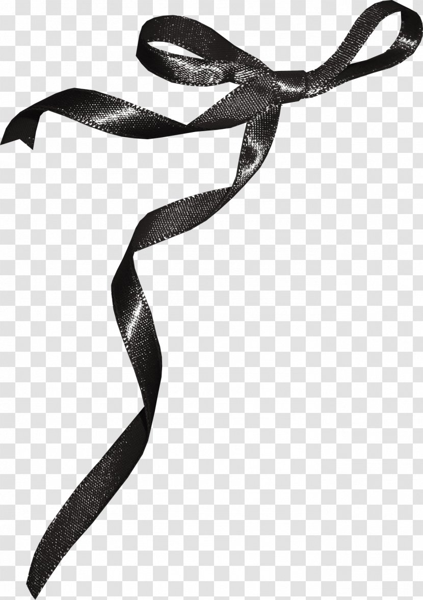 Ribbon - Black And White - Bow Transparent PNG