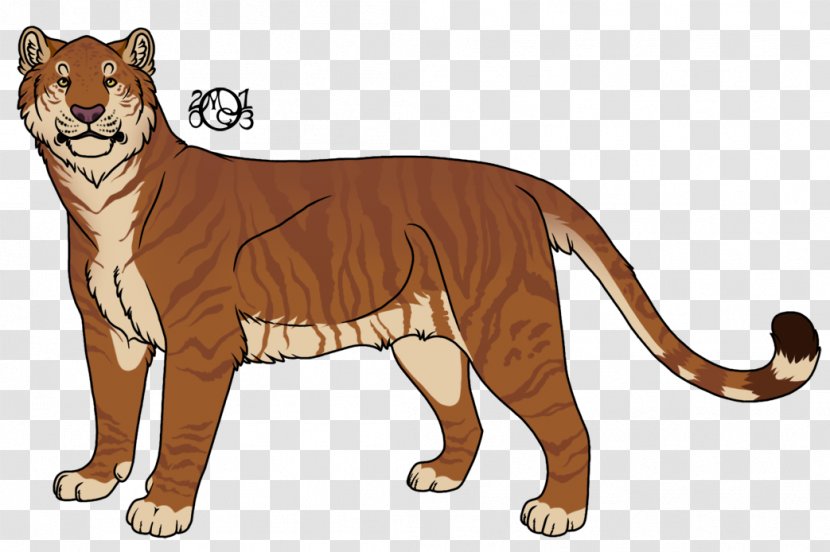 Whiskers Lion Cougar Tiger Cat - Puma Transparent PNG