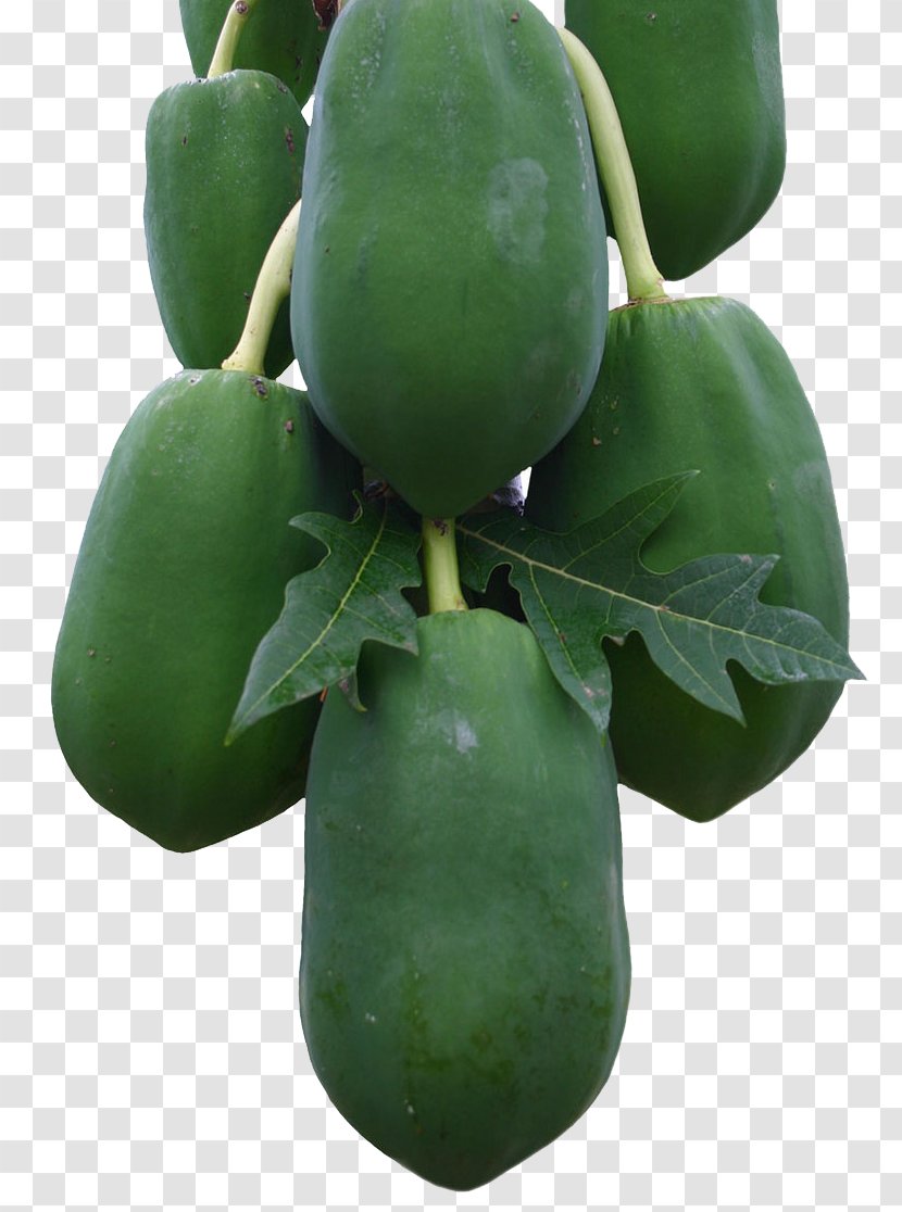 Papaya Fruit Auglis Vegetable - Food - Green Transparent PNG