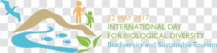 International Year Of Biodiversity Day For Biological Diversity Convention On Global - United Nations - Natural Environment Transparent PNG