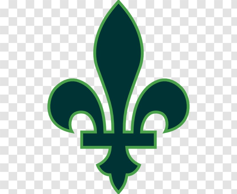 Quebec City Vector Graphics Fleur-de-lis Flag Of Illustration - Green Card Logos Transparent PNG