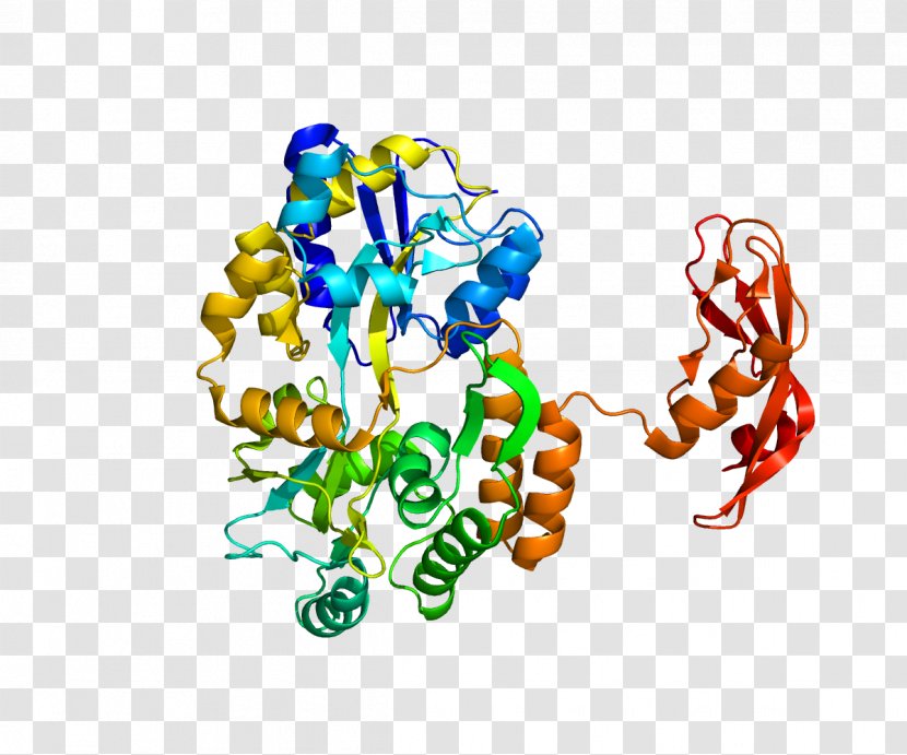 Corticotropin-releasing Hormone Receptor 1 Gene Factor Family - Frame - Anxiety Transparent PNG