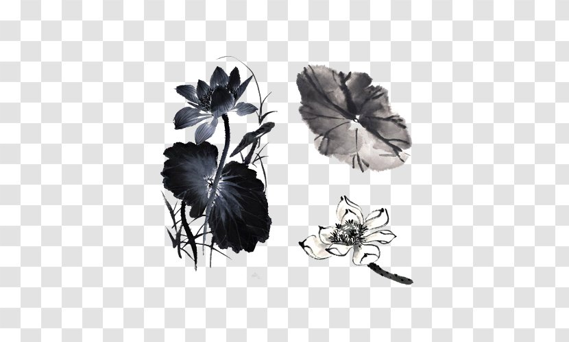 Nelumbo Nucifera Ink Wash Painting Chinese - Lotus Transparent PNG