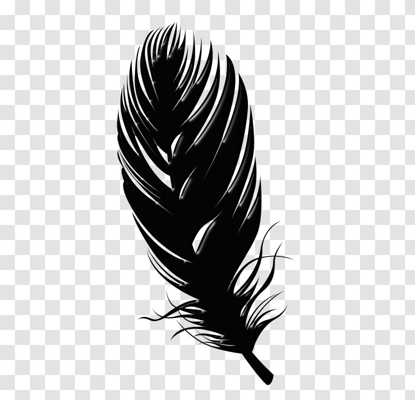 Vector Graphics Feather Quill Image - Bird - Tbc Banner Transparent PNG