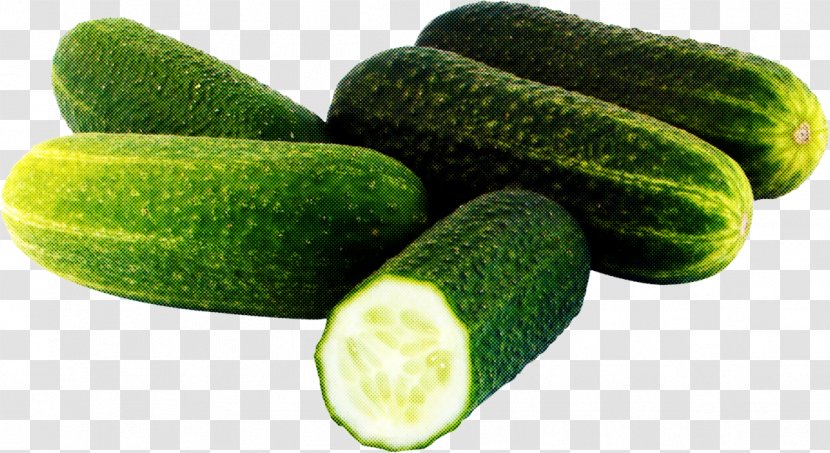 Vegetable Plant Cucumber Cucumber, Gourd, And Melon Family Zucchini - Natural Foods Cucumis Transparent PNG